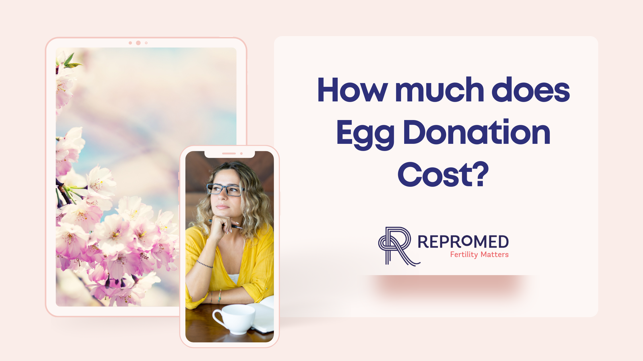 How much does Egg Donation Cost?